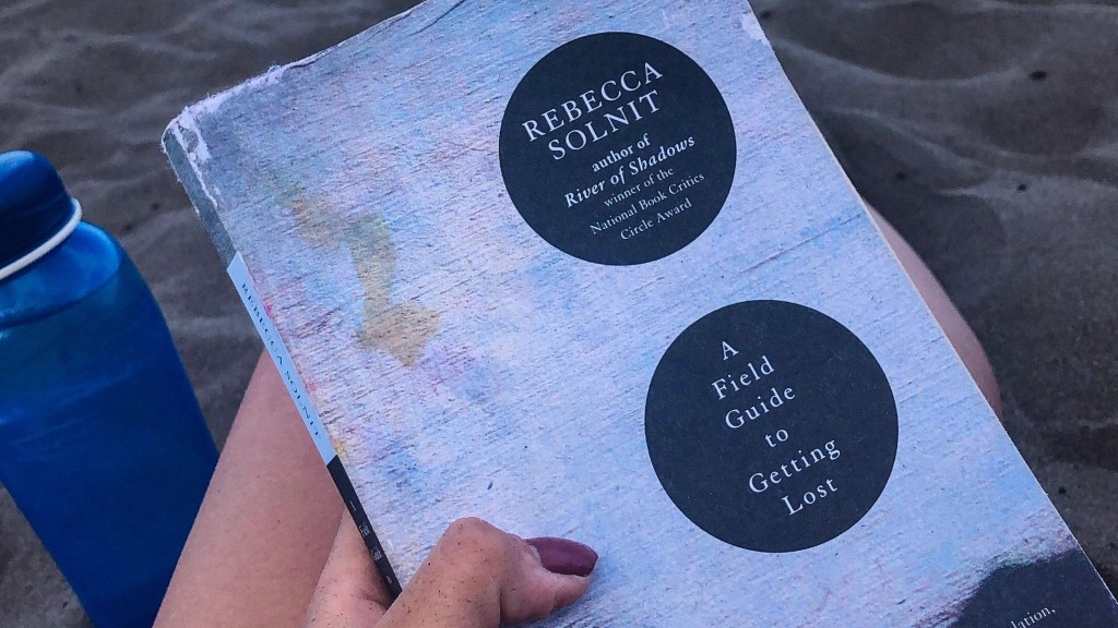 Rebecca Solnit, The Counter&nbsp;Critic