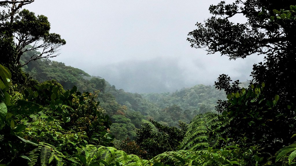 Among Clouds: Monteverde, Costa&nbsp;Rica