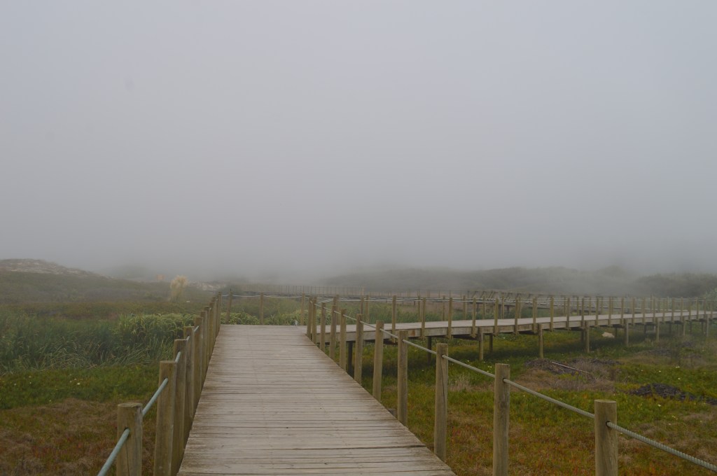 Camino Portugués 2024